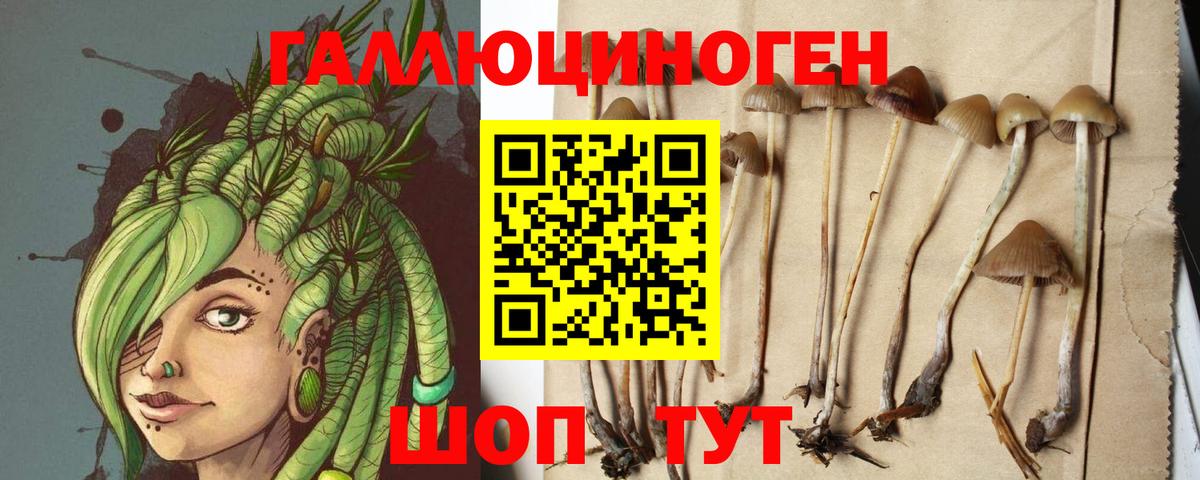 Реж  Галлюциногенные грибы MAGIC MUSHROOMS  Вход с VPN 